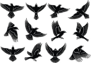 Obraz premium Collection of stylized black silhouette bird silhouettes in various flying poses isolated on white background