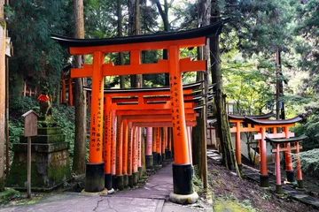 Selbstklebende Fototapeten Torii Tore Tunnel of torii gates lining the spiritual paths of Fushimi Inari Shrine, Kyoto, Japan.   © Gian78