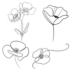 Elegant Hand drawn of flowers. Vector illustration.