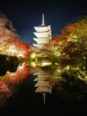 ライトアップで浮かび上がる京都・東寺の五重塔と紅葉した木々が水面にリフレクションした風景