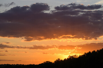 Vibrant sunset with silhouetted woodland, deep amber band, low sun glow, layered cloud formations, warm mood for romance and travel, perfect for social media and editorial use
