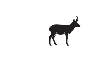 Pronghorn silhouette on transparent background