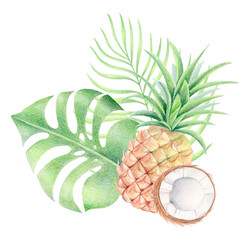 Tropical botanical illustration of pineapple, half coconut, monstera and palm leaves isolated on white. Colored pencil and watercolor summer exotic fruit composition for packaging, prints and textile.