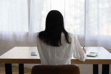 Back View of Woman Working at Desk with Pen in Hand