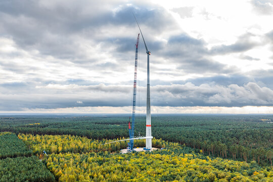 A massive crane assembles a wind turbine tower in the middle of an autumn forest. The structure rises above the treetops under a dramatic, cloudy sky.