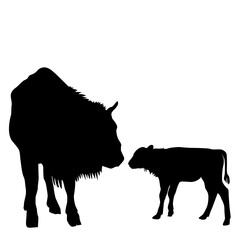 Bison mother and child silhouette