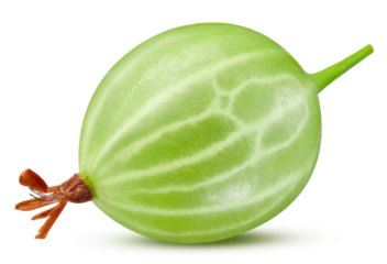 Gooseberry isolated on transparent background. PNG gooseberry. Gooseberry full macro photo.