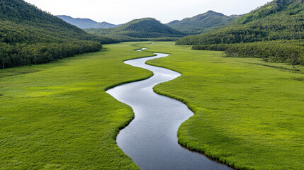 Fototapeta premium Flowing river green valley winding creek marshland mountain backdrop calm water lush grass