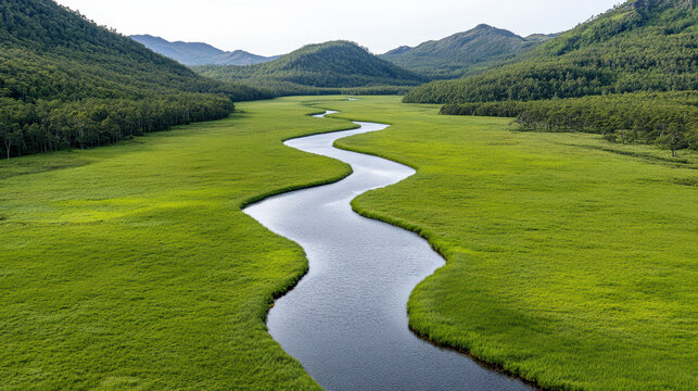Flowing river green valley winding creek marshland mountain backdrop calm water lush grass - Powered by Adobe