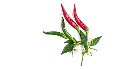 Red hot chili pepper with leaves and flowers flowers, fruits, eco bio fresh red hot cayenne chilli peppers spice plant isolated on white background. Flat lay, top view