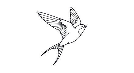 Fototapeta premium Elegant Line Art Illustration of a Bird with Outstretched Wings in Flight