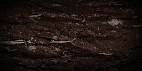 Deeply textured and dramatic dark brown tree bark or wood surface, featuring a rough grain, deep crevices, and a heavy vignette that creates a moody, mysterious background