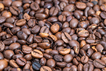 Highquality beans for brewing, Premium beans designed for baristas and shops, Selection of expertly prepared coffee beans suitable for brewing and commercial purposes