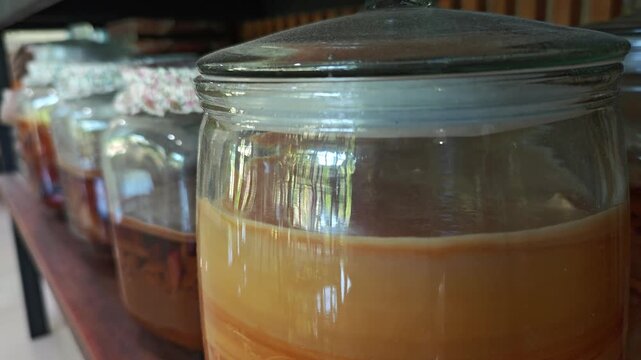 kombucha with layers in a large three-liter jar. organic healthy drink
