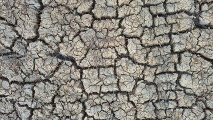 A detailed close-up of dry, cracked soil showing an intricate natural texture caused by drought and dehydration. Ideal for environmental, climate change, and nature-themed projects.