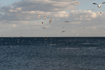 Seascape view from mehdia town, Tunisia