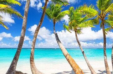 Perfect white sand beach with coconut palm trees and turquoise water in Punta Cana, Dominican Republic. Summer holiday beach concept.
