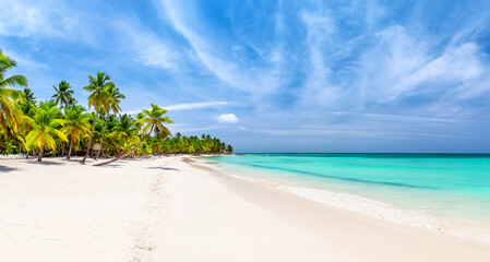 Panorama of perfect white sandy beach with coconut palm trees in Caribbean sea, Saona island. Dominican Republic. Summer beach concept.