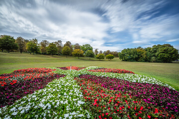Freizeitpark Rheinaue Bonn (Langzeitbelichtung)