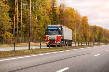 Red and blue semi truck with grey trailer transports cargo on highway during autumn, forest with...