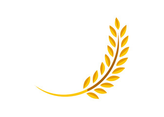 agriculture wheat logo design vector template. icon isolated