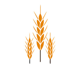 Agriculture wheat Logo. wheat Logo Template vector icon design. Template vector icon design