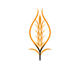 Agriculture wheat Logo. wheat Logo Template vector icon design. Template vector icon design