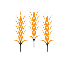 Agriculture wheat Logo. wheat Logo Template vector icon design. Template vector icon design