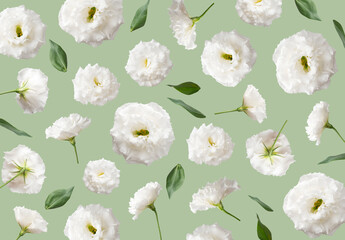 Floral pattern. White eustoma flower, green leaves isolated on green background. Delicate flower...
