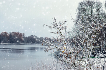 Winter snowfall over quiet lake surrounded by snowy trees and bushes on bank under cloudy sky...