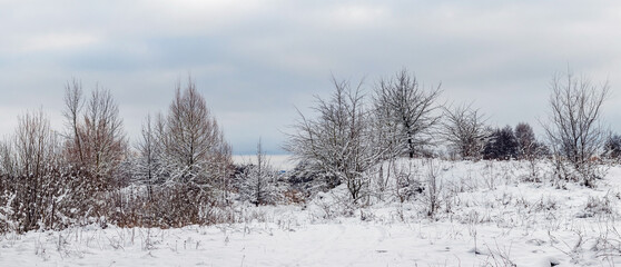 Winter landscape with a snow-covered hill with bare trees and shrubs standing on it and a gray cloudy sky above them creating a cold, calm and spacious nature background