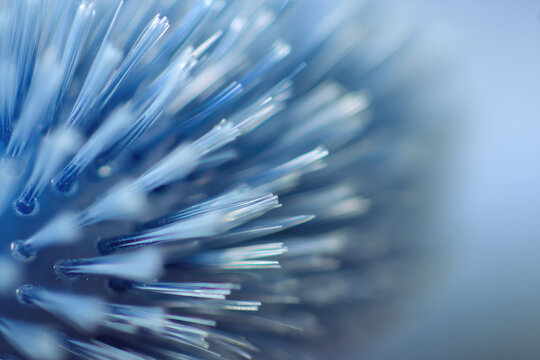 Scalp massage brush with soft bristles for hair care, providing soothing and relaxing experience while promoting healthy scalp and gentle hair treatment