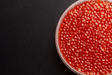 Red Salmon Roe (Ikura) in Plastic Container on Black Background