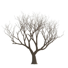 Tree bare isolated transparent background 3d rendering PNG 16 bit with alpha channel
