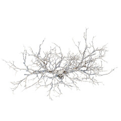 Obraz premium Tree snow covered isolated transparent background photo realistic 3d rendering PNG 16 bit with alpha channel 