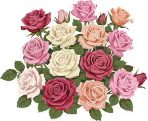 Colorful Rose Bouquet Illustration