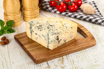 Gourmet blue cheese with mold