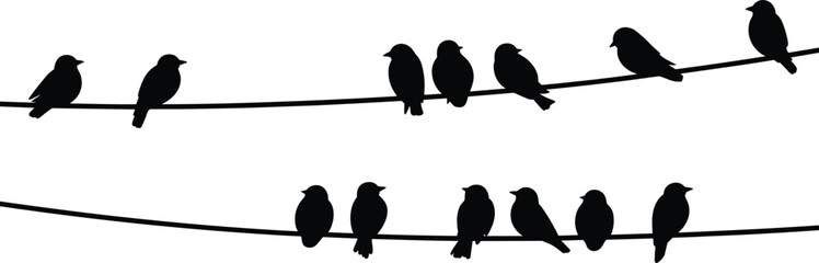 Silhouettes of birds perched on two horizontal wires against a white background Keywords: birds, silhouettes, perched, wires