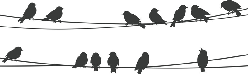 Two Rows of Bird Silhouettes Perched on Power Lines birds wires