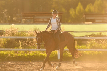 Rider enjoys ride through arena at sunset. Woman enjoys equestrian sports, riding horse in saddle, holding reins from outside. Professional rider, equestrian school, training © GRON777