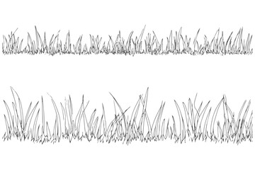 Grass vector illustration drawing botanical plant nature ground foliage green. Plant green leaf botanical drawing nature foliage vector.