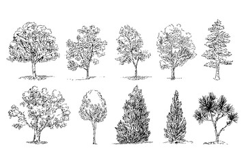 Set of hand drawn trees. Trees drawn in sketch style, isolated. Collection of different plants in silhouette for design.