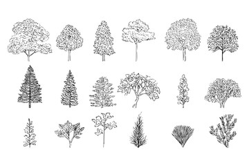 Collection of hand drawn trees. Trees and bushes drawn in sketch style, isolated. Set of different plants silhouette.