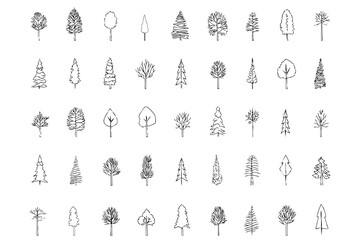 Set of hand drawn trees collection. Trees in sketch style, isolated. Different plants in silhouette drawing for desing.