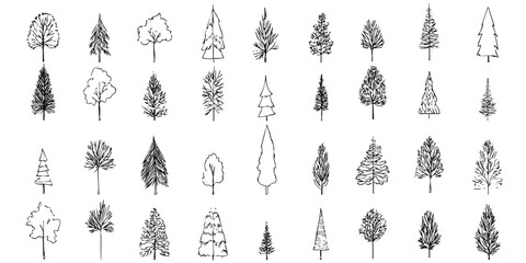 Set of doodle trees, vector drawing of various trees, element for graphic design sketch art nature landscape vector
