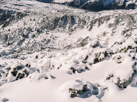 Snow-covered landscape with small trees and distant mountains under a bright sky. Paganella, Roda refuge,Trentino, Italy