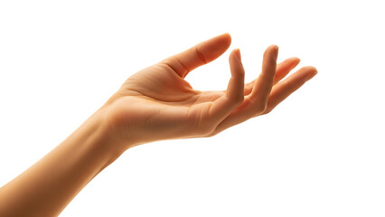 Graceful female hand with fingers gently curved in a delicate gesture isolated on transparent background