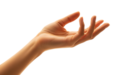 Graceful female hand with fingers gently curved in a delicate gesture isolated on transparent background