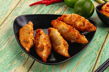 Asian fried stuffed dumplings gyoza