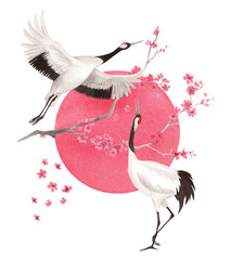 Obraz premium Sakura and japanese cranes with the sun on a background. Watercolor handmade illustration. For fabric, wallpaper, greeting cards, design, decoration and illustration.